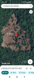 Hutan Warisan Dunia di Ujung Tanduk — Dugaan Oknum Polhut di Balik Penjarahan TNKS Rawas